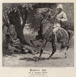 ريجين قرد